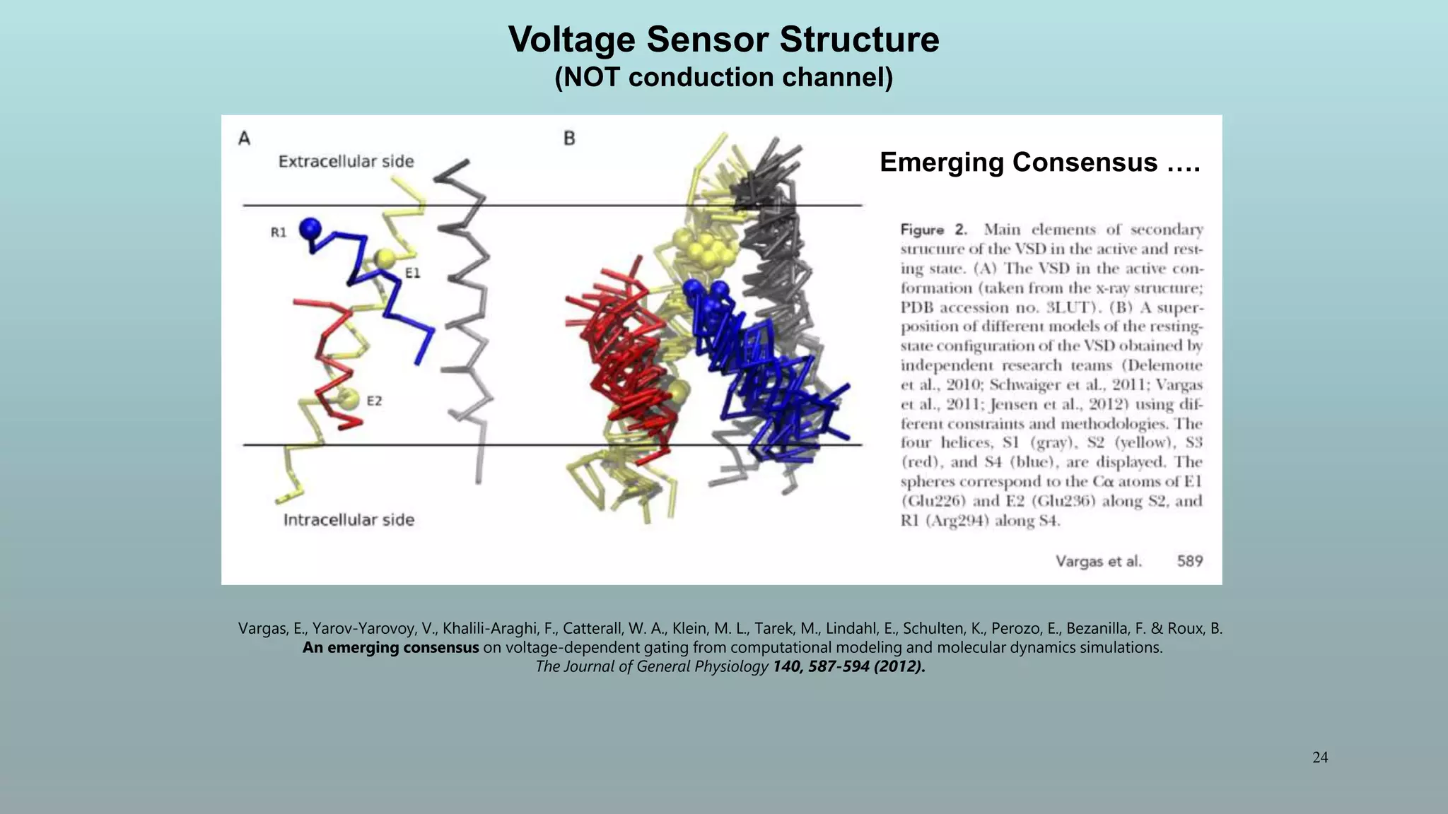 24
Vargas, E., Yarov-Yarovoy, V., Khalili-Araghi, F., Catterall, W. A., Klein, M. L., Tarek, M., Lindahl, E., Schulten, K., Perozo, E., Bezanilla, F. & Roux, B.
An emerging consensus on voltage-dependent gating from computational modeling and molecular dynamics simulations.
The Journal of General Physiology 140, 587-594 (2012).
Emerging Consensus ….
Voltage Sensor Structure
(NOT conduction channel)
 