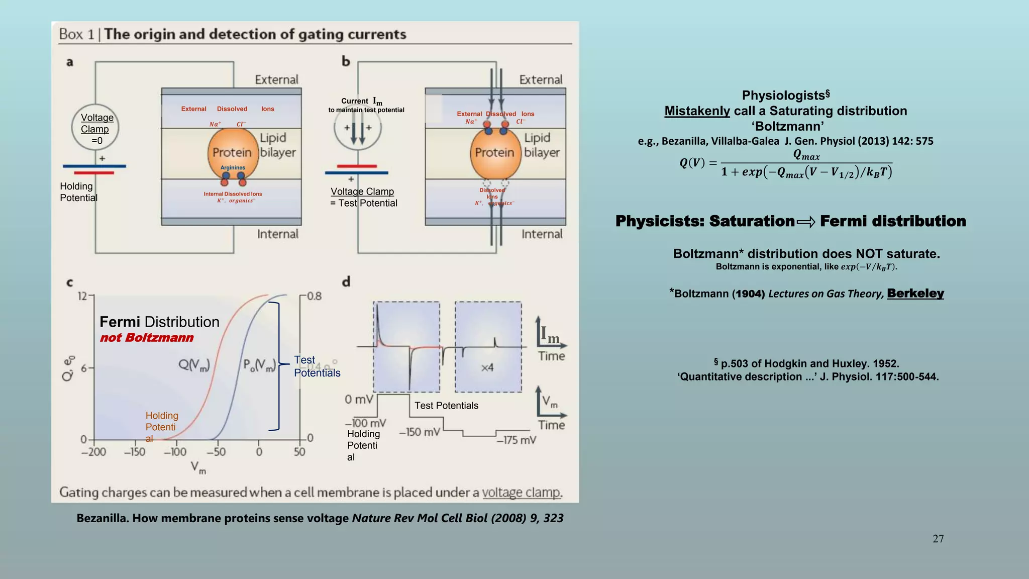 27
Physiologists§
Mistakenly call a Saturating distribution
‘Boltzmann’
e.g., Bezanilla, Villalba-Galea J. Gen. Physiol (2013) 142: 575
𝑸 𝑽 =
𝑸 𝒎𝒂𝒙
𝟏 + 𝒆𝒙𝒑 −𝑸 𝒎𝒂𝒙 𝑽 − 𝑽 𝟏 𝟐 𝒌 𝑩 𝑻
Physicists: Saturation Fermi distribution
Boltzmann* distribution does NOT saturate.
Boltzmann is exponential, like 𝒆𝒙𝒑 −𝑽 𝒌 𝑩 𝑻 .
*Boltzmann (1904) Lectures on Gas Theory, Berkeley
§ p.503 of Hodgkin and Huxley. 1952.
‘Quantitative description ...’ J. Physiol. 117:500-544.
Bezanilla. How membrane proteins sense voltage Nature Rev Mol Cell Biol (2008) 9, 323
Fermi Distribution
not Boltzmann
Arginines
Internal Dissolved Ions
𝑲+, 𝒐𝒓𝒈𝒂𝒏𝒊𝒄𝒔−
External Dissolved Ions
𝑵𝒂+ 𝑪𝒍−
Dissolved
Ions
𝑲+, 𝒐𝒓𝒈𝒂𝒏𝒊𝒄𝒔−
External Dissolved Ions
𝑵𝒂+ 𝑪𝒍−
Voltage Clamp
= Test Potential
Voltage
Clamp
=0
Holding
Potential
Current 𝐈 𝐦
to maintain test potential
Holding
Potenti
al
Test Potentials
Holding
Potenti
al
Test
Potentials
𝐈 𝐦
 