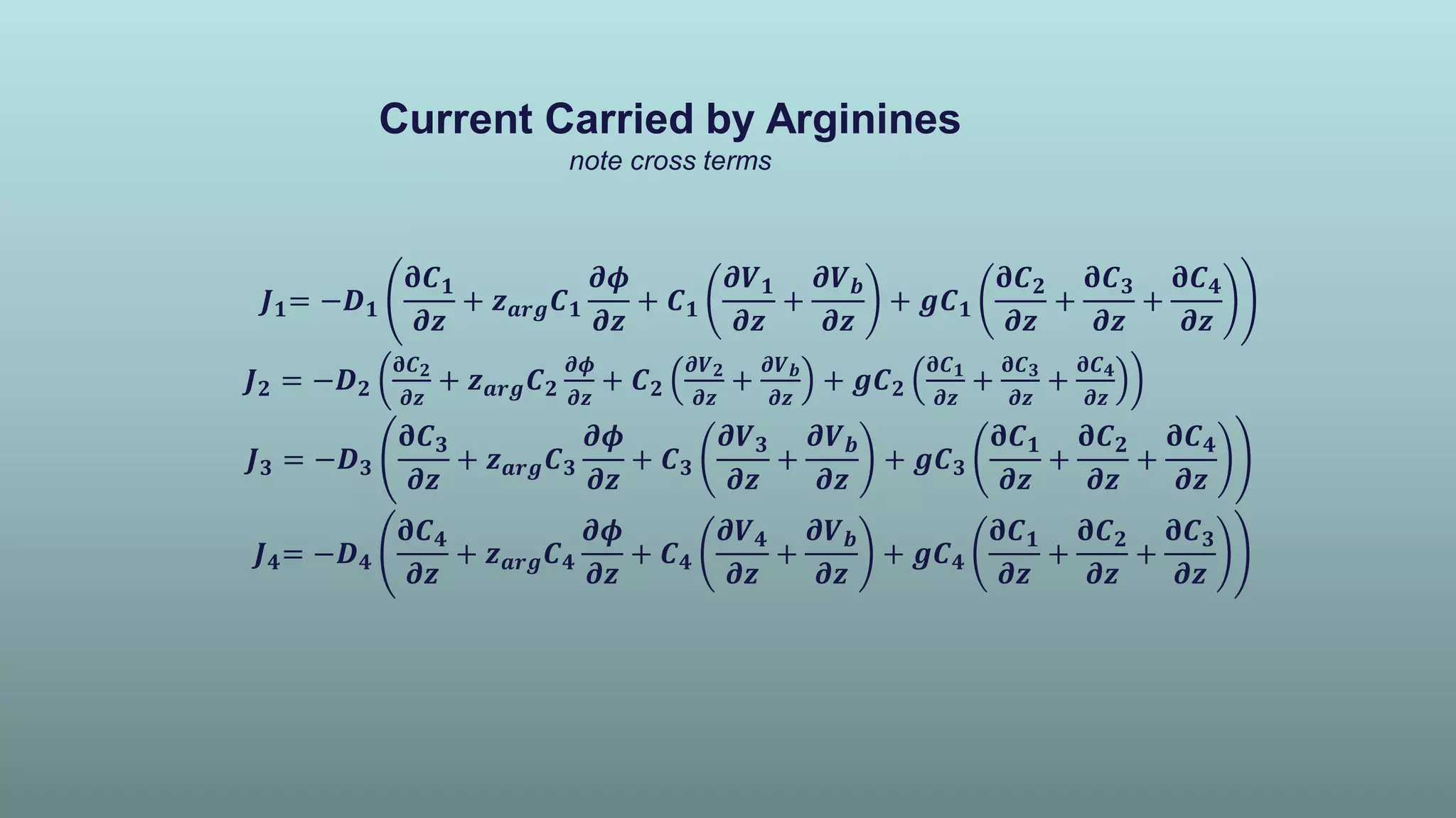 Current Carried by Arginines
note cross terms
𝟏= − 𝟏
𝑪 𝟏
𝒛
+ 𝒛 𝒂𝒓𝒈 𝑪 𝟏
𝒛
+ 𝑪 𝟏
𝑽 𝟏
𝒛
+
𝑽
𝒛
+ 𝒈𝑪 𝟏
𝑪 𝟐
𝒛
+
𝑪 𝟑
𝒛
+
𝑪 𝟒
𝒛
𝟐 = − 𝟐
𝑪 𝟐
𝒛
+ 𝒛 𝒂𝒓𝒈 𝑪 𝟐 𝒛
+ 𝑪 𝟐
𝑽 𝟐
𝒛
+
𝑽
𝒛
+ 𝒈𝑪 𝟐
𝑪 𝟏
𝒛
+
𝑪 𝟑
𝒛
+
𝑪 𝟒
𝒛
𝟑 = − 𝟑
𝑪 𝟑
𝒛
+ 𝒛 𝒂𝒓𝒈 𝑪 𝟑
𝒛
+ 𝑪 𝟑
𝑽 𝟑
𝒛
+
𝑽
𝒛
+ 𝒈𝑪 𝟑
𝑪 𝟏
𝒛
+
𝑪 𝟐
𝒛
+
𝑪 𝟒
𝒛
𝟒= − 𝟒
𝑪 𝟒
𝒛
+ 𝒛 𝒂𝒓𝒈 𝑪 𝟒
𝒛
+ 𝑪 𝟒
𝑽 𝟒
𝒛
+
𝑽
𝒛
+ 𝒈𝑪 𝟒
𝑪 𝟏
𝒛
+
𝑪 𝟐
𝒛
+
𝑪 𝟑
𝒛
 
