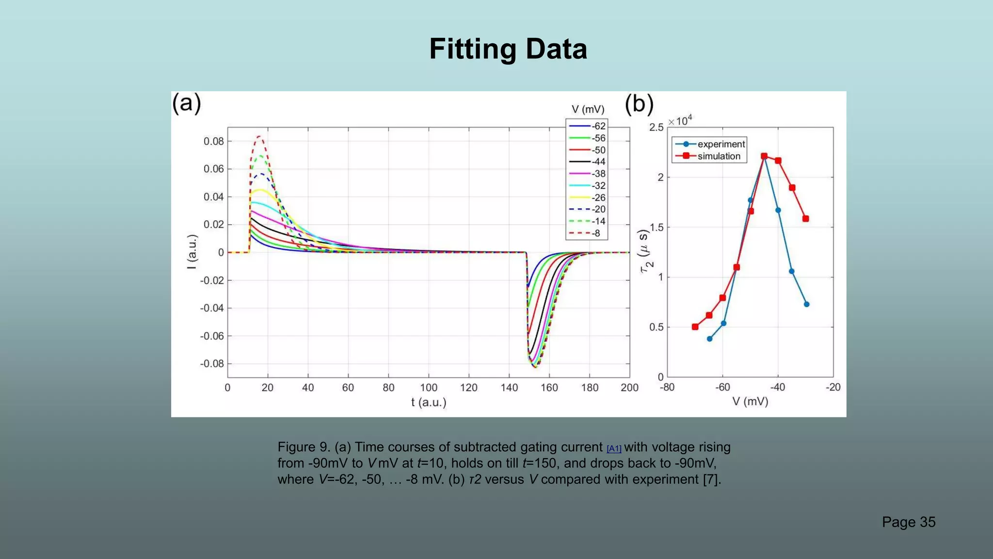 Page 35
Figure 9. (a) Time courses of subtracted gating current [A1] with voltage rising
from -90mV to V mV at t=10, holds on till t=150, and drops back to -90mV,
where V=-62, -50, … -8 mV. (b) τ2 versus V compared with experiment [7].
Fitting Data
 