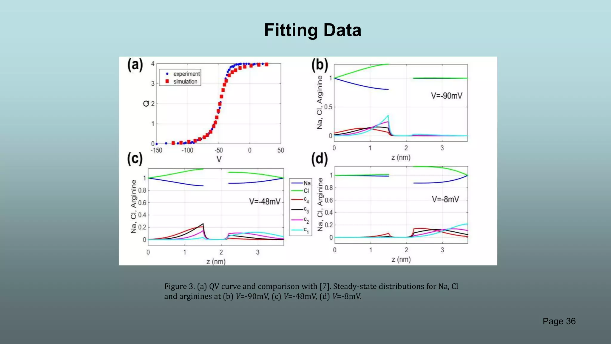 Page 36
Figure 3. (a) QV curve and comparison with [7]. Steady-state distributions for Na, Cl
and arginines at (b) V=-90mV, (c) V=-48mV, (d) V=-8mV.
Fitting Data
 
