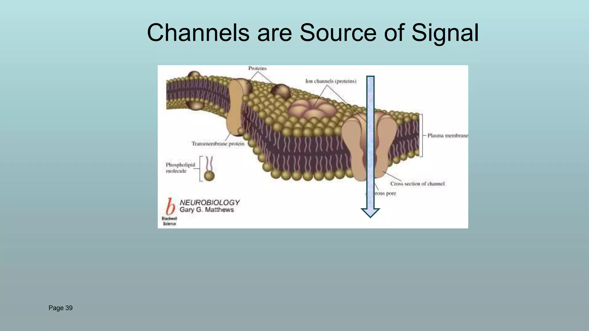 Page 39
Channels are Source of Signal
 