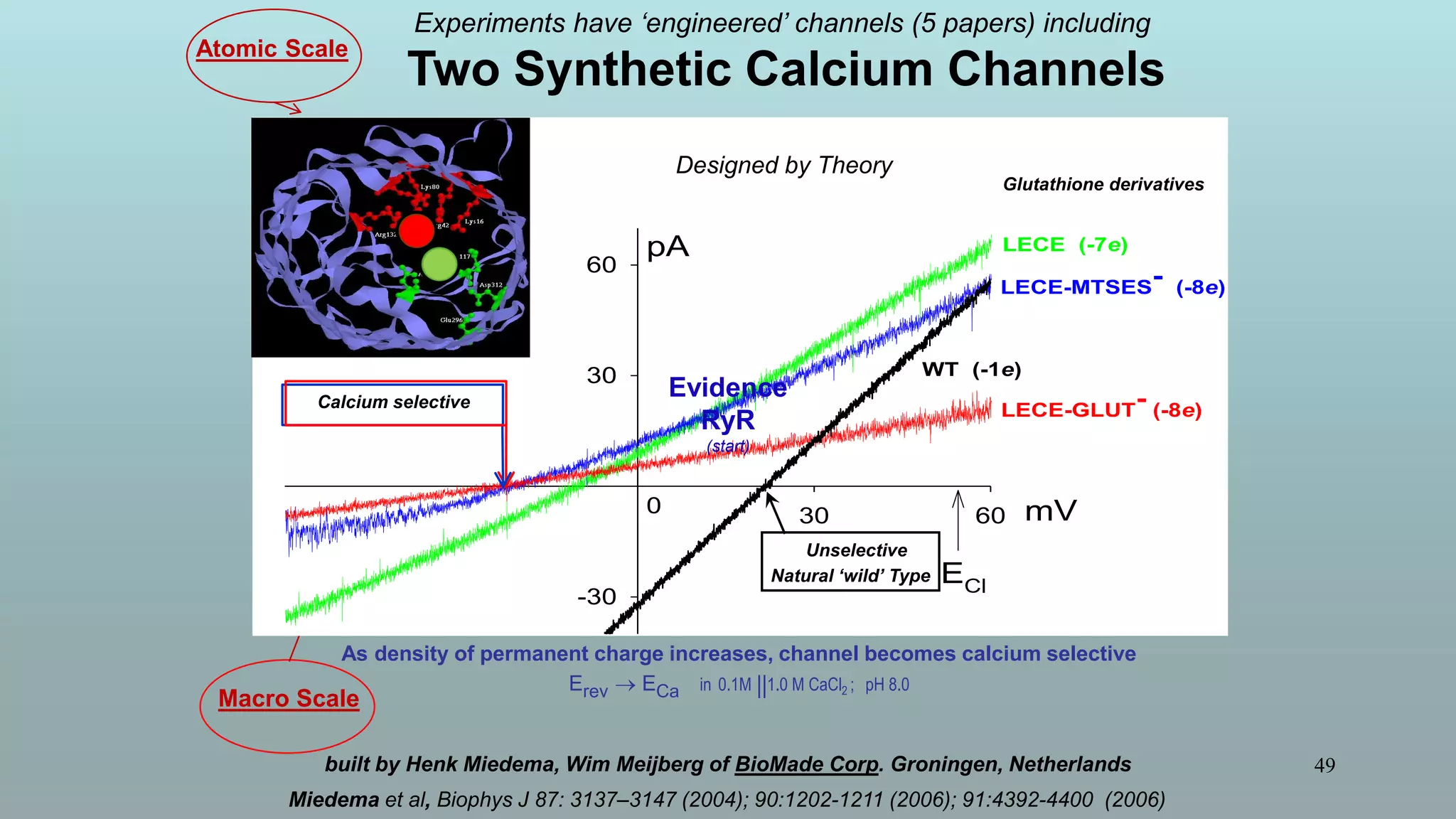 49
Mutants of ompF Porin
Atomic Scale
Macro Scale
30 60
-30
30
60
0
pA
mV
LECE (-7e)
LECE-MTSES- (-8e)
LECE-GLUT- (-8e)ECa
ECl
WT (-1e)
Calcium selective
Experiments have ‘engineered’ channels (5 papers) including
Two Synthetic Calcium Channels
As density of permanent charge increases, channel becomes calcium selective
Erev  ECa in 0.1M 1.0 M CaCl2 ; pH 8.0
Unselective
Natural ‘wild’ Type
built by Henk Miedema, Wim Meijberg of BioMade Corp. Groningen, Netherlands
Miedema et al, Biophys J 87: 3137–3147 (2004); 90:1202-1211 (2006); 91:4392-4400 (2006)
MUTANT ─ Compound
Glutathione derivatives
Designed by Theory
||
Evidence
RyR
(start)
 