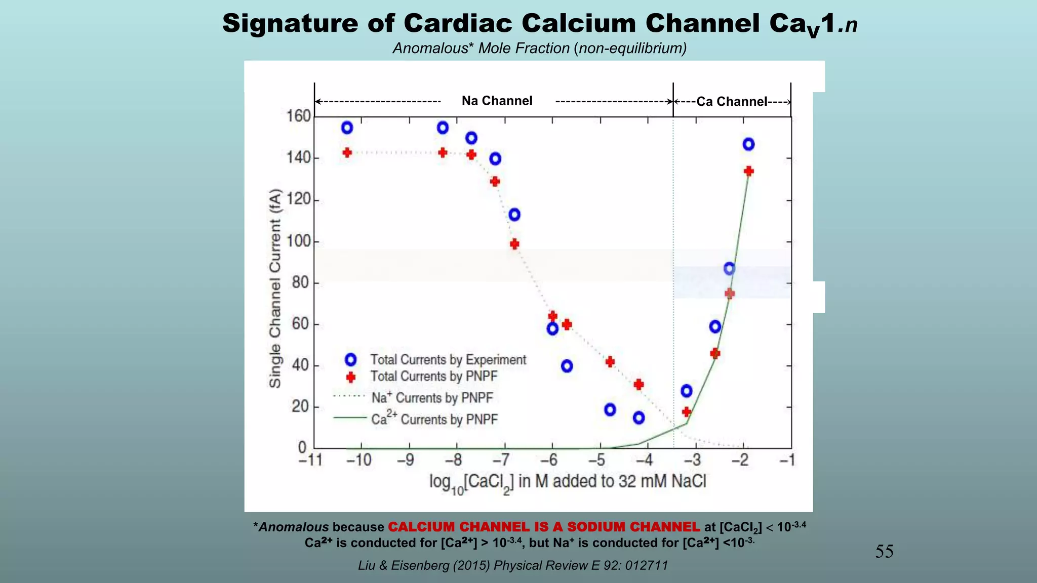 Na Channel
55
Signature of Cardiac Calcium Channel CaV1.n
Anomalous* Mole Fraction (non-equilibrium)
Liu & Eisenberg (2015) Physical Review E 92: 012711
*Anomalous because CALCIUM CHANNEL IS A SODIUM CHANNEL at [CaCl2]  10-3.4
Ca2+ is conducted for [Ca2+] > 10-3.4, but Na+ is conducted for [Ca2+] <10-3.
Ca Channel
 