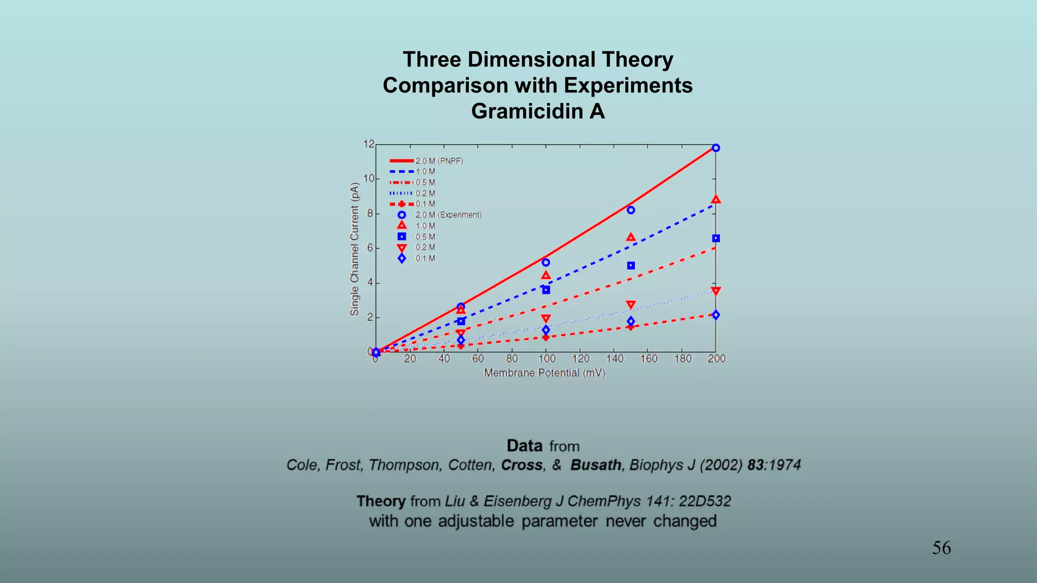 56
Three Dimensional Theory
Comparison with Experiments
Gramicidin A
 