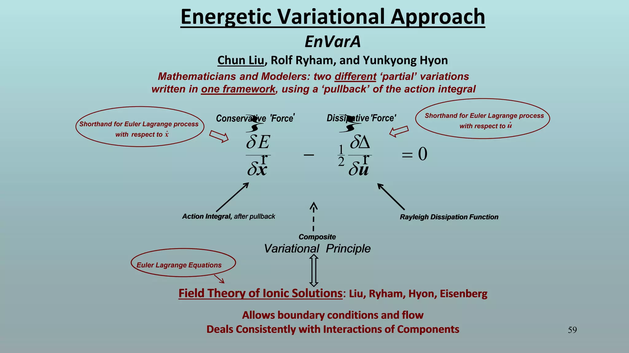 59
Energetic Variational Approach
EnVarA
Chun Liu, Rolf Ryham, and Yunkyong Hyon
Mathematicians and Modelers: two different ‘partial’ variations
written in one framework, using a ‘pullback’ of the action integral
} }
1
2 0
E 
 

 
'' Dissipative'Force'Conservative Force
r r
x u
Action Integral, after pullback Rayleigh Dissipation FunctionAction Integral, after pullback Rayleigh Dissipation Function
Field Theory of Ionic Solutions: Liu, Ryham, Hyon, Eisenberg
Allows boundary conditions and flow
Deals Consistently with Interactions of Components
Composite
Variational Principle
Euler Lagrange Equations
Field Theory of Ionic Solutions: Liu, Ryham, Hyon, Eisenberg
Allows boundary conditions and flow
Deals Consistently with Interactions of Components
Composite
Variational Principle
Shorthand for Euler Lagrange process
with respect to
r
x
Shorthand for Euler Lagrange process
with respect to
r
u
 