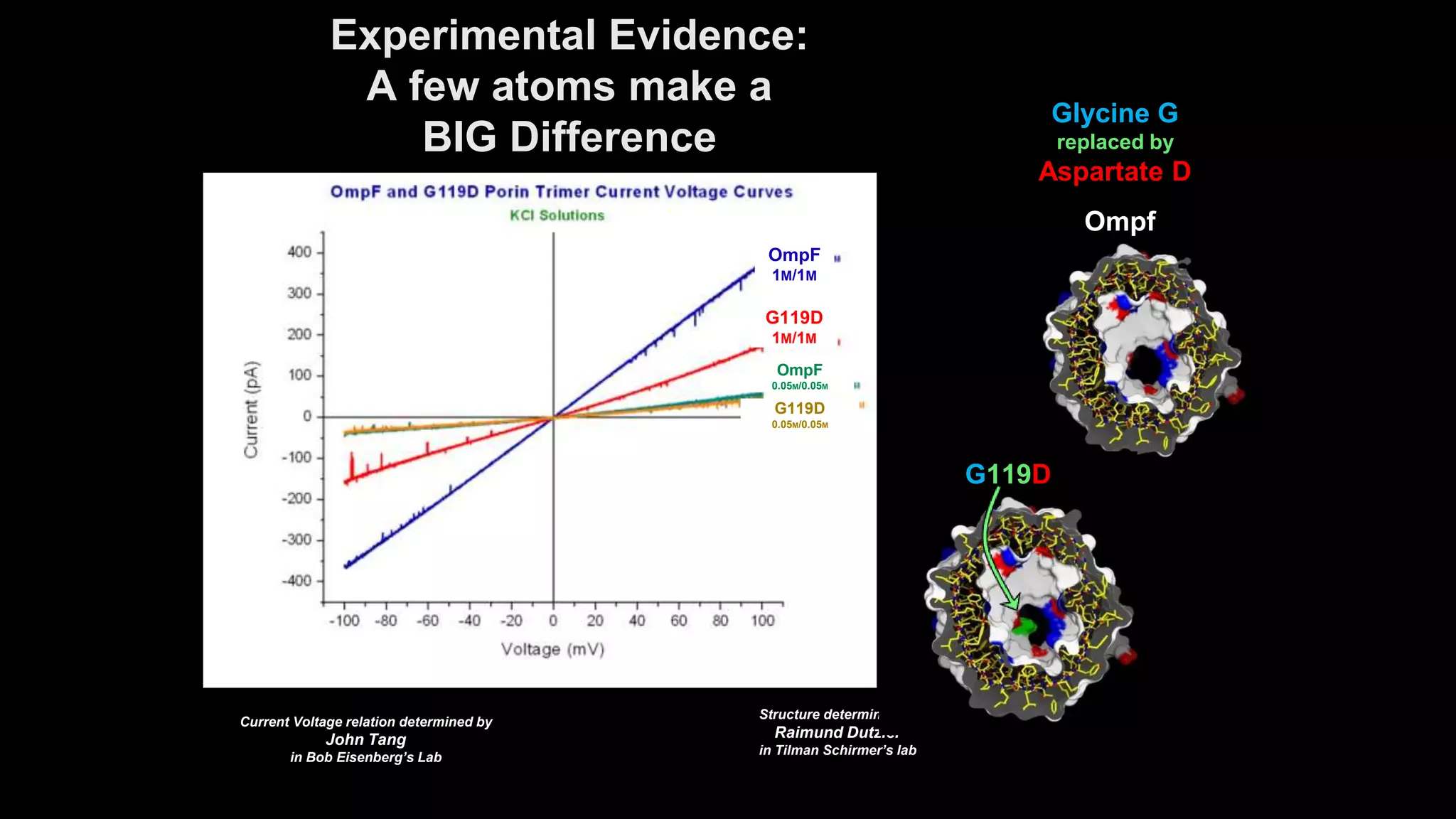 8
Experimental Evidence:
A few atoms make a
BIG Difference
OmpF
1M/1M
G119D
1M/1M
G119D
0.05M/0.05M
OmpF
0.05M/0.05M
Structure determined by
Raimund Dutzler
in Tilman Schirmer’s lab
Current Voltage relation determined by
John Tang
in Bob Eisenberg’s Lab
Ompf
G119D
Glycine G
replaced by
Aspartate D
 