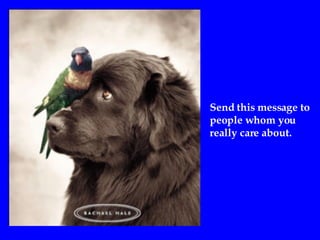 Send this message to  people whom you  really care about. 