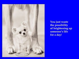 You just waste  the possibility  of brightening up someone’s life  for a day ! 