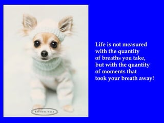 Life is not measured  with the quantity  of breaths you take, but with the quantity  of moments that  took your breath away ! 