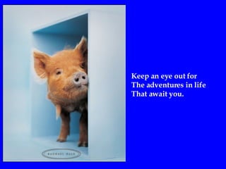 Keep an eye out for The adventures in life That await you. 