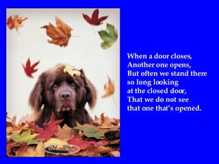 When a door closes ,   Another one opens , But often we stand there  so long looking at the closed door,  That we do not see  that one that’s opened. 