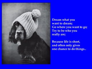 Dream what you  want to dream ; Go where you want to go ; Try to be who you  really are; Because life is short, and often only gives  one chance to do things.. 