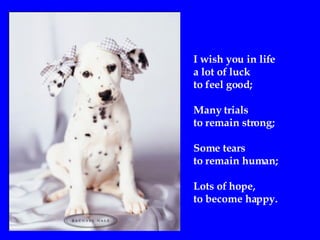 I wish you in life  a lot of luck  to feel good ; Many trials  to remain strong; Some tears  to remain human; Lots of hope,  to become happy. 