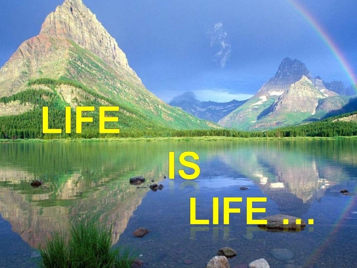 Life Is Life...