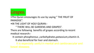 Grapes:
•The Quran encourages its use by saying ” THE FRUIT OF
PARADISE”.
•IN THE LIGHT OF HOLY QURAN:-
“ THERE WILL BE GARDENS AND GRAPES”.
There are following benefits of grapes according to recent
medical research:-
It contain phosphorous ,carbohydrates,potassium,vitamin A.
It also beneficial for liver and stomach.
It is especially useful in mental and cardiovascular and
bowel diseases
 