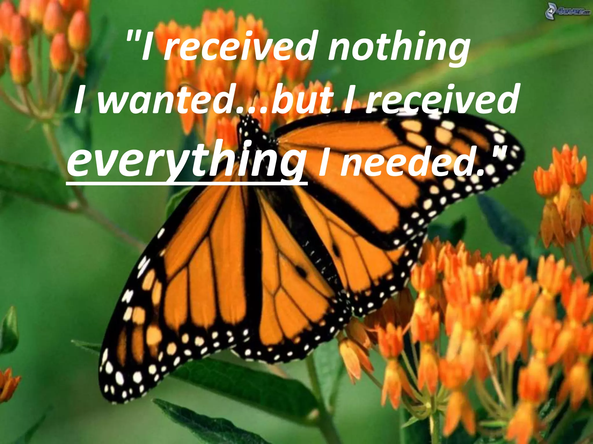 "I received nothing
I wanted...but I received
everything I needed."
 