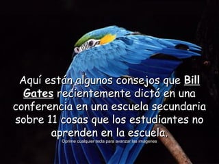 Aquí están algunos consejos queAquí están algunos consejos que BillBill
GatesGates recientemente dictó en unarecientemente dictó en una
conferencia en una escuela secundariaconferencia en una escuela secundaria
sobre 11 cosas que los estudiantes nosobre 11 cosas que los estudiantes no
aprenden en la escuela.aprenden en la escuela.
Oprime cualquier tecla para avanzar las imágenesOprime cualquier tecla para avanzar las imágenes
 