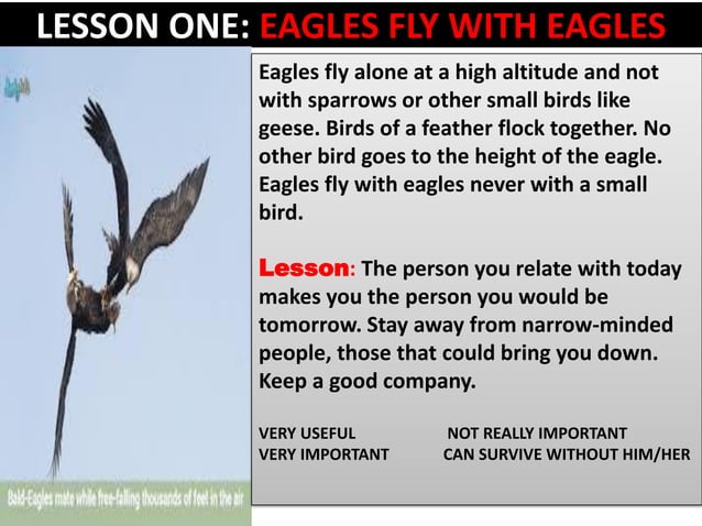 7 Powerful Life Lessons From The Eagle – HHCT