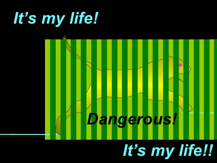It’s my life! Dangerous! It’s my life!! 