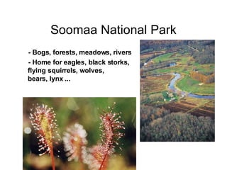 Soomaa National Park - Bogs, forests, meadows, rivers - Home for eagles, black storks, flying squirrels, wolves,  bears, lynx ... 