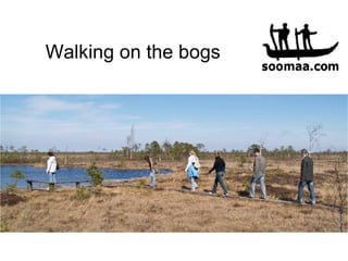 Walking on the bogs 
