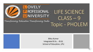 LIFE SCIENCE
CLASS – 9
Topic - PHOLEM
Bittu Kumar
Integrated B.Sc. - B.Ed.
School of Education, LPU
 