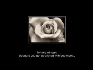 To hate all roses
because you got scratched with one thorn...
 