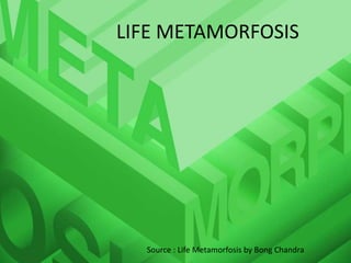 LIFE METAMORFOSIS
Source : Life Metamorfosis by Bong Chandra
 