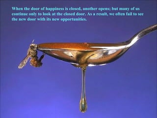 When the door of happiness is closed, another opens; but many of us continue only to look at the closed door. As a result, we often fail to see  the new door with its new opportunities. 