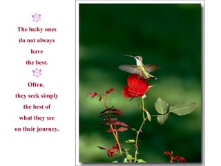 The lucky ones do not always have the best. Often,  they seek simply the best of what they see on their journey. 