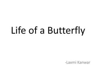 Life of a Butterfly 
-Laxmi Kanwar 
 