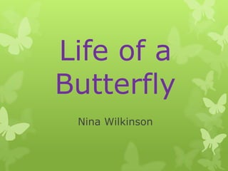 Life of a Butterfly Nina Wilkinson 