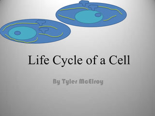 Life Cycle of a Cell By Tyler McElroy 
