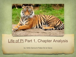 Life of Pi Part 1, Chapter Analysis
by: Sofia Garcia & Felipe De la Garza
 