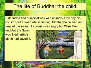 The life of Buddha: the child. Siddhartha had a special way with animals. One day his cousin shot a swan whilst hunting. Siddhartha calmed and  treated the swan. His cousin was angry but Wise Men  decided the Swan  was Siddhartha’s  as he had saved it. 