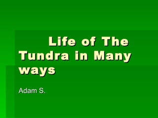 Life of The Tundra in Many ways Adam S. 
