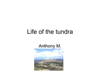 Life of the tundra Anthony M. 