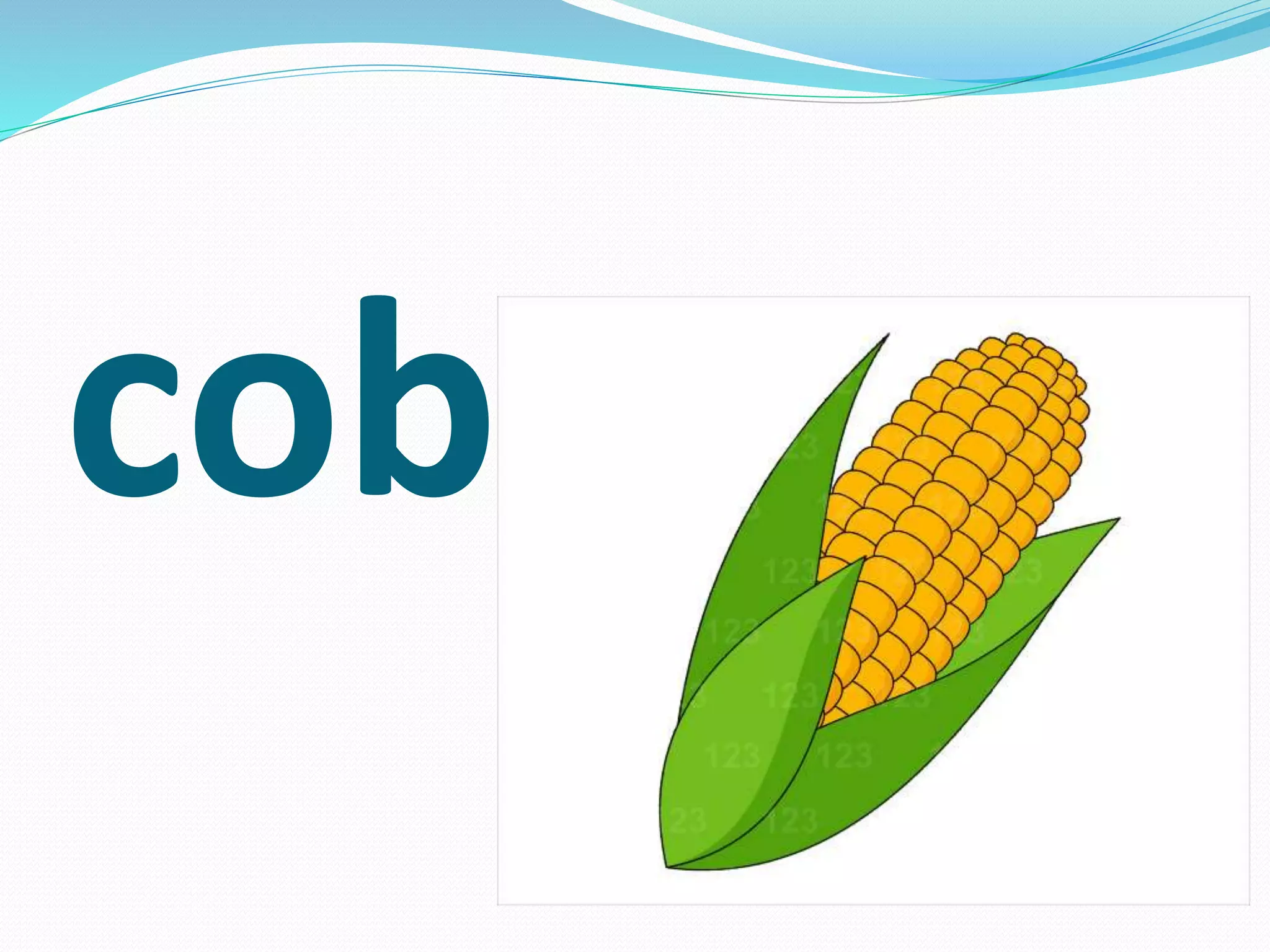cob