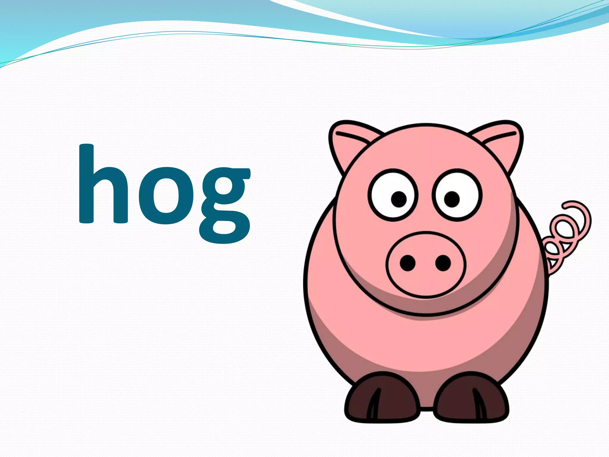 hog