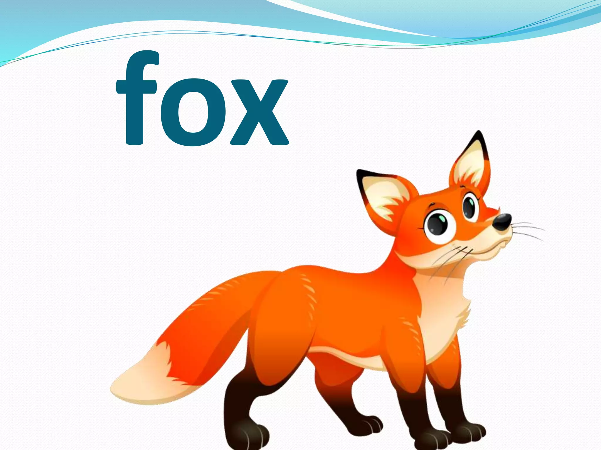 fox