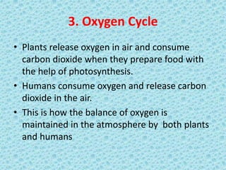 3. Oxygen Cycle
• Plants release oxygen in air and consume
carbon dioxide when they prepare food with
the help of photosynthesis.
• Humans consume oxygen and release carbon
dioxide in the air.
• This is how the balance of oxygen is
maintained in the atmosphere by both plants
and humans
 