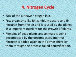 4. Nitrogen Cycle
• 78% of the air have nitrogen in it.
• Few organisms like Rhizombium absorb and fix
nitrogen from the air and it is used by the plants
as a important nutrient for the growth of plants.
• Remains of dead plants and animals is being
decomposed by the decomposers and thus
nitrogen is added again in the atmosphere by
them through the process called denitrification.
 