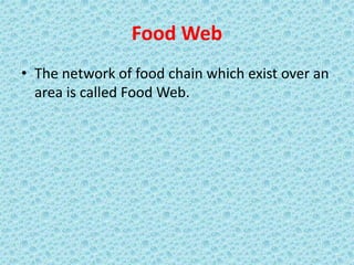 Food Web
• The network of food chain which exist over an
area is called Food Web.
 
