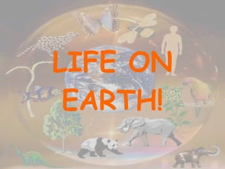 LIFE ON EARTH! 