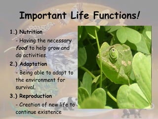 Important Life Functions ! 1.) Nutrition - Having the necessary  food   to help grow and do activities. 2.) Adaptation - Being able to adapt to the environment for survival. 3.) Reproduction - Creation of new life to continue existence 