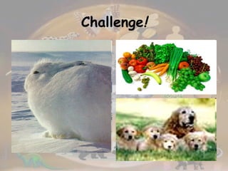 Challenge ! 