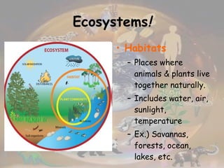 Ecosystems ! Habitats Places where animals & plants live together naturally. Includes water, air, sunlight, temperature Ex.) Savannas, forests, ocean, lakes, etc.  