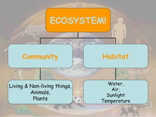 ECOSYSTEM! Community Habitat Living & Non-living things, Animals, Plants Water, Air, Sunlight Temperature 