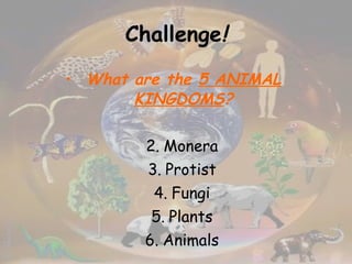 Challenge ! What are the  5 ANIMAL KINGDOMS ? Monera Protist Fungi Plants Animals 